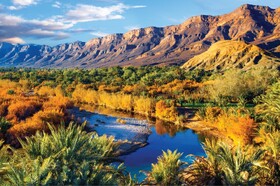 حفاظت از طبیعت بدون آگاهی جمعی و تغییر ارزش‌های رایج محقق نمی‌شود