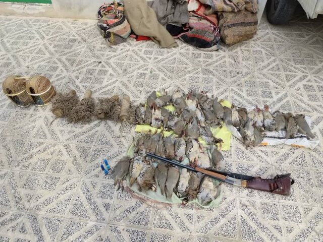 عملیات شبانه برای دستگیری شکارچیان غیرمجاز پرندگان وحشی در درگز