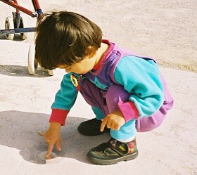 کودکان زودرس با عقب‌ماندگی شناختی پایدار همراه می‌شوند