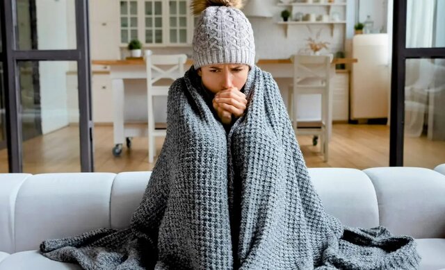 چگونه مغز، سرما را ذخیره میکند؟ چگونه مغز، سرما را ذخیره میکند؟