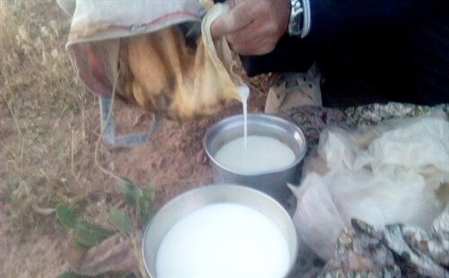 گُرماست، خاصترین غذای سنتی مناطق روستایی خراسان