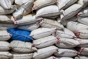 کشف بیش از ۴۳ تن کود شیمیایی خارج از شبکه توزیع در سبزوار