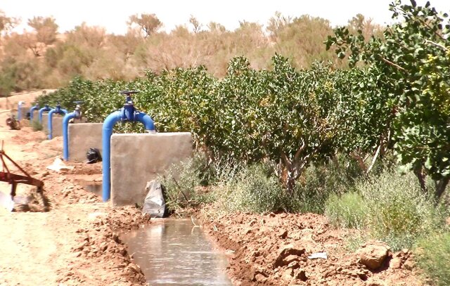 افزایش ساعات آفتابی؛ فرصت طلایی برای سرمایهگذاران انرژی در مهولات