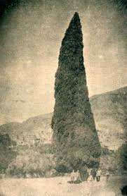 کشمر و شاهنامه فردوسی، آغوش مادر در ادبیات ایران