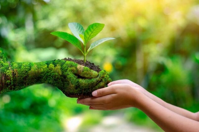 بومگردی؛ سفر پایدار برای سیاره‌ای سبزتر