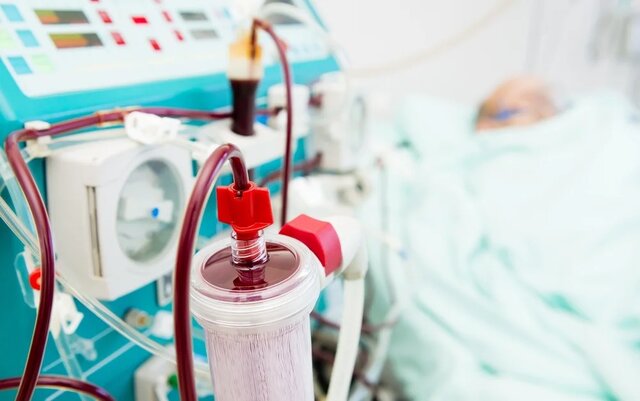 چگونه میکروپلاستیکها را از بدن حذف کنیم؟