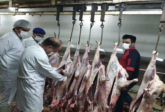 فعالیت ۶۵  گروه ثابت و ۱۰۰ گروه سیار دامپزشکی خراسان رضوی در ایام عید قربان