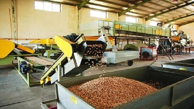 عکس از آرشیو راهاندازی نخستین خط اتوماتیک فرآوری پسته با هوش مصنوعی در خراسان رضوی