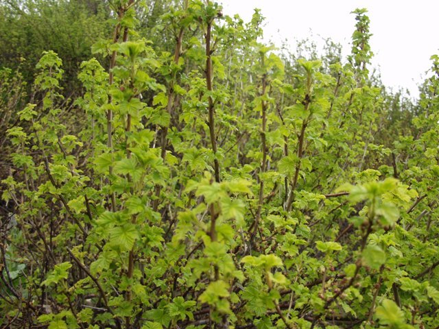 توسعه اکوتوریسم؛ فرصتی برای حفاظت از طبیعت