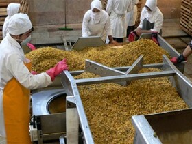 کاشمر رتبه چهارم صنایع تبدیلی خراسان رضوی را دارد