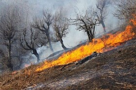 بیش از ۱۴ هکتار از مراتع شهرستان قوچان در آتش سوخت