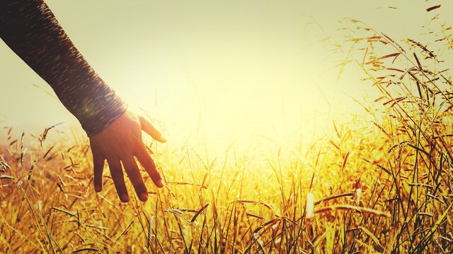 چگونه از دوران سختیها گذر کنیم؟ چگونه از دوران سختیها گذر کنیم؟