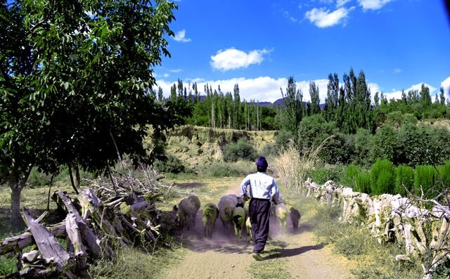 کوهسرخ؛ سرزمین فرصتهای بکر و ظرفیتهای مغفول مانده