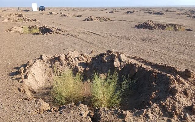 مقابله با بیابان‌زایی در دومین ایستگاه تثبیت شن خراسان بزرگ