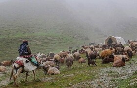 بیش از ۲ هزار خانوار عشایری کلات هیچ گونه خدماتی دریافت نمی‌کنند
