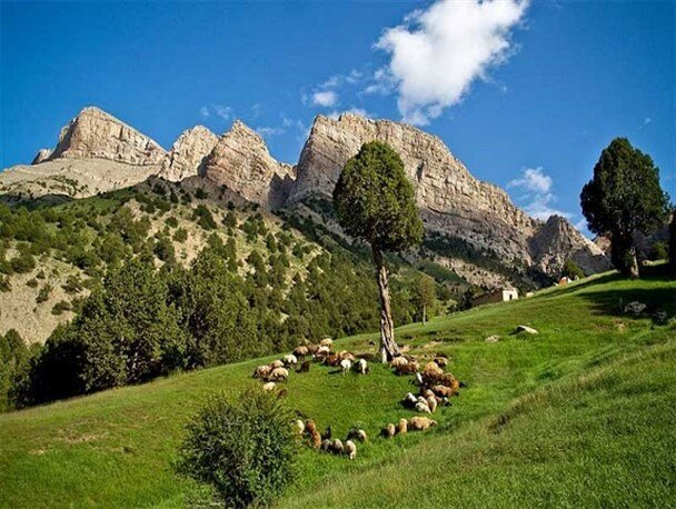بیش از ۲ هزار خانوار عشایری کلات هیچ گونه خدماتی دریافت نمی‌کنند