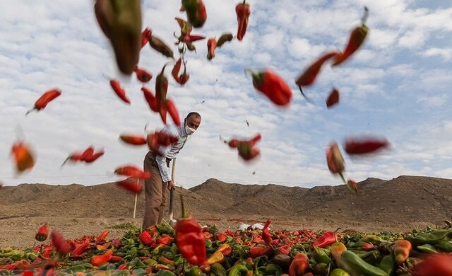 بیزه، تندترین روستای خراسان رضوی