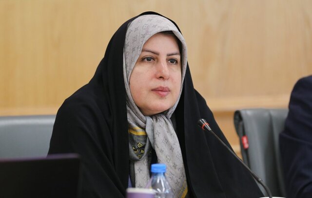 دولت باید از رقابت با بخش خصوصی در حوزه انرژی دست بردارد