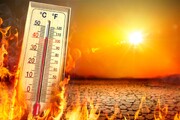 بهترین و بدترین غذاها در طول موج گرما