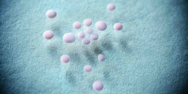 افزودنی رایج غذایی، مشکل پیچیده علوم اعصاب را حل کرد