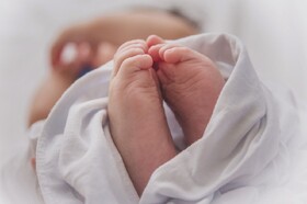 روند کاهشی نرخ باروری در مناطق روستایی کاشمر