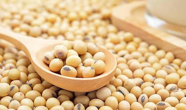 صادرکنندگان آمریکایی در خطر از دست دادن میلیاردها دلار
