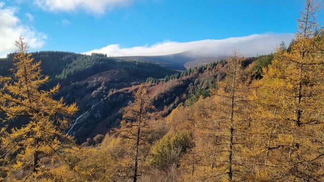 خشکسالی پاییز زودرس را رقم زد خشکسالی پاییز زودرس را رقم زد