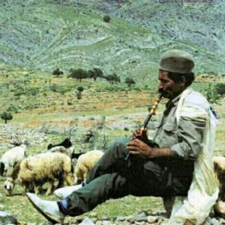 قمشه نوازی؛ گنجینهای از احساسات دامداران در خراسان رضوی