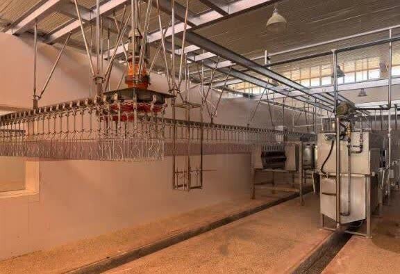 پیشرفتهترین کشتارگاه طیور شرق کشور در تربت جام به بهرهبرداری رسید پیشرفتهترین کشتارگاه طیور شرق کشور در تربت جام به بهرهبرداری رسید