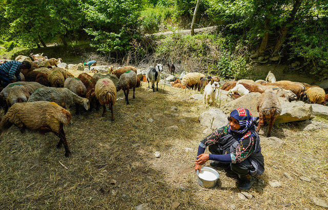 سینی؛ مرز بین طبیعت و تاریخ در خراسان رضوی