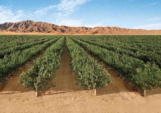 شرط وزیر نیرو برای معاف شدن بزرگترین باغسرای خراسان رضوی از خاموشی‌ها