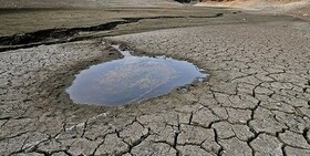کاهش ۴۷ سانتی‌متری سطح آب‌های زیرزمینی؛ زنگ خطری برای سرخس