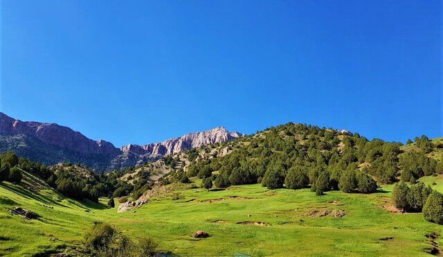 ارتقاء ارس سیستان به پارک ملی؛ فرصتی برای حفاظت از تنوع زیستی