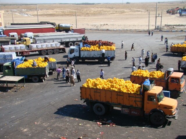 حذف دلالان از چرخه تولید محصولات کشاورزی با ایجاد زنجیره ارزش