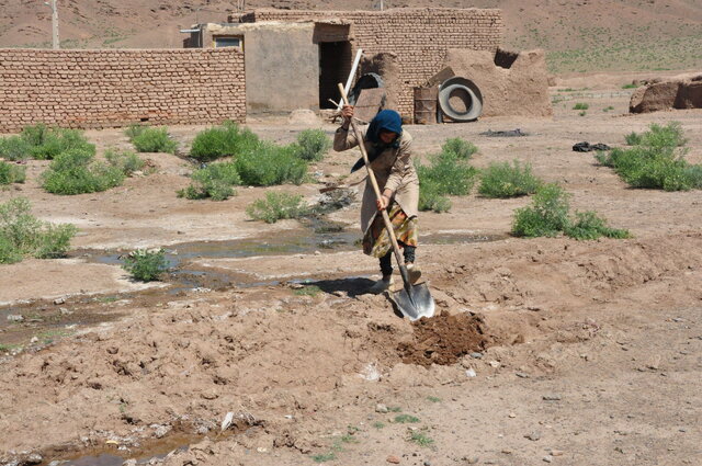 زنان روستایی و عشایری؛ پیشگامان توسعه پایدار و حفاظت از منابع طبیعی