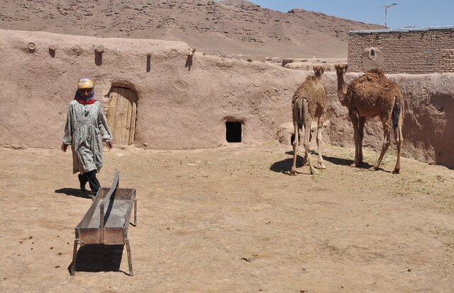 زنان روستایی و عشایری؛ پیشگامان توسعه پایدار و حفاظت از منابع طبیعی