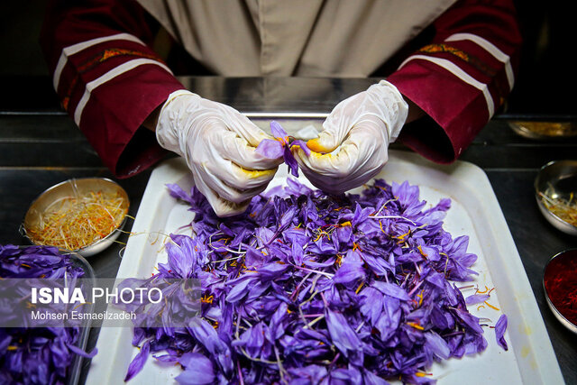ادامه سیاست رفع تعهدات ارزی جایگاه زعفران ایران را در دنیا خدشهدار میکند ادامه سیاست رفع تعهدات ارزی جایگاه زعفران ایران را در دنیا خدشهدار میکند
