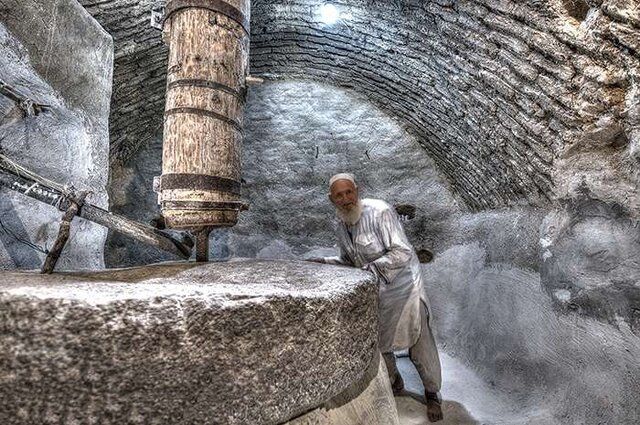 رشد شهرنشینی؛ تهدیدی برجان بزرگترین اسبادهای جهان