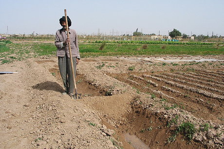 تمامی آنچه باغداران و کشاورزان از آن رنج می‌برند