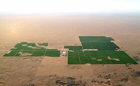 تهدیدات بیابان‌زایی و مهاجرت؛ چالش‌های کشاورزی در حاشیه کویر