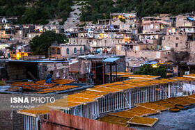 برندینگ؛ قطعه گمشده پازل «آلوی خرو»