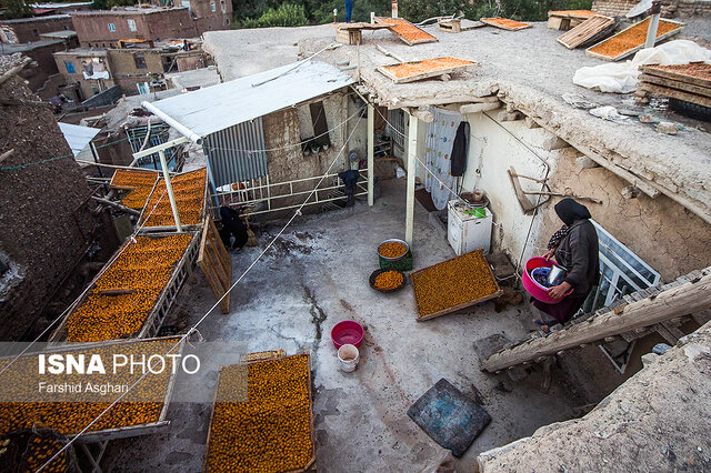 برندینگ؛ قطعه گمشده پازل «آلوی خرو»