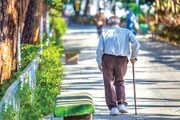 بیش از ۲۸ هزار سالمند تحت پوشش بهزیستی همدان/ حرکت به سمت سالمندی پویا و کارآفرین