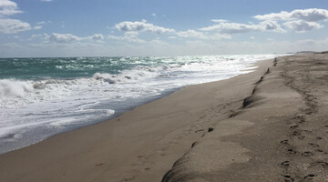 لحظه وداع با سواحل نزدیک شد