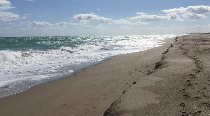 لحظه وداع با سواحل نزدیک شد