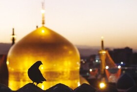 ویژه‌برنامه‌های عزاداری سالروز شهادت حضرت زهرا(س) در حرم مطهر رضوی