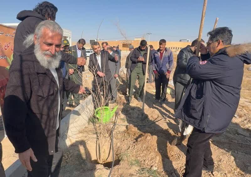 مدیرکل منابع طبیعی خراسان رضوی: طی ۲ سال گذشته ۴۰ میلیون نهال در خراسان رضوی تولید و کاشت شد