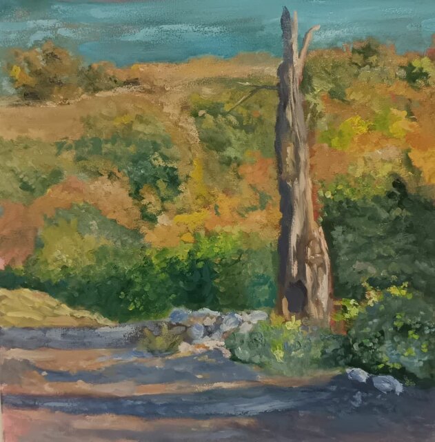 «رست»؛ روایتی از طبیعت