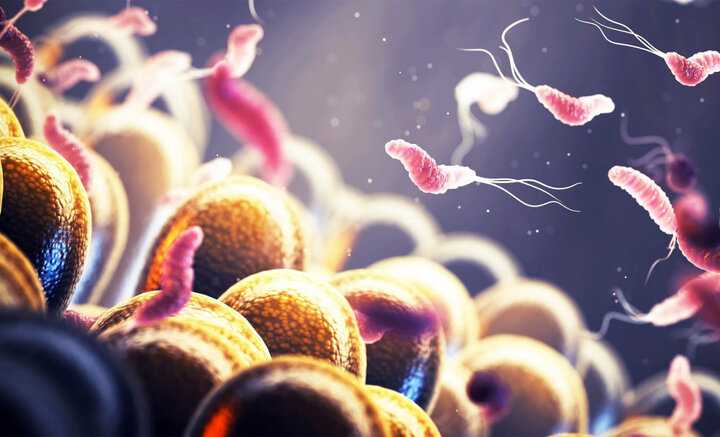 ارتباط میکروبیوم روده با سرطان