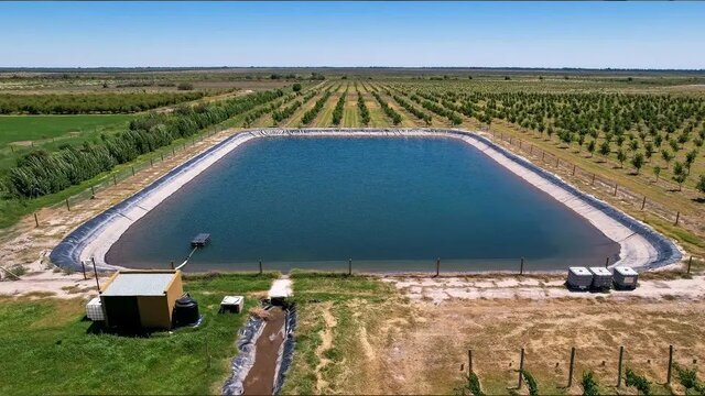 استخرهای کشاورزی؛ راهکار یا چالش در بحران کمآبی؟